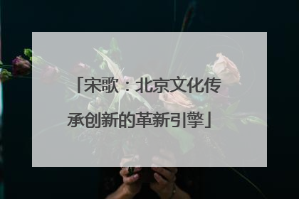 宋歌：北京文化传承创新的革新引擎