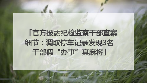 官方披露纪检监察干部查案细节：调取停车记录发现3名干部假“办事”真麻将