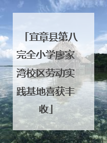 宜章县第八完全小学廖家湾校区劳动实践基地喜获丰收