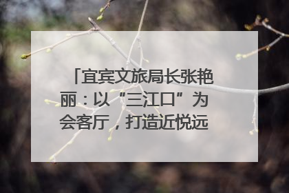 宜宾文旅局长张艳丽：以“三江口”为会客厅，打造近悦远来的国际旅游城市｜文旅局长说