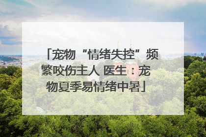 宠物“情绪失控”频繁咬伤主人 医生：宠物夏季易情绪中暑