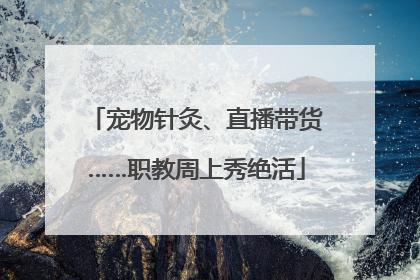 宠物针灸、直播带货……职教周上秀绝活