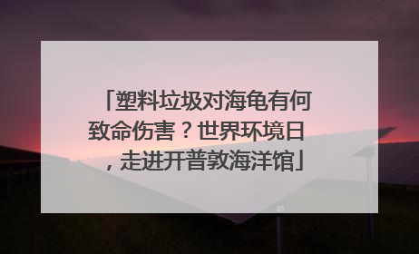 塑料垃圾对海龟有何致命伤害？世界环境日，走进开普敦海洋馆