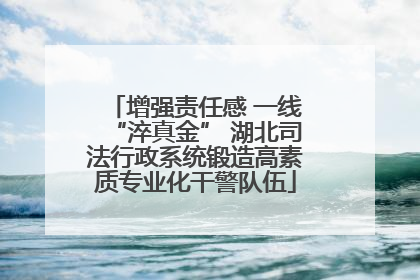 增强责任感 一线“淬真金” 湖北司法行政系统锻造高素质专业化干警队伍