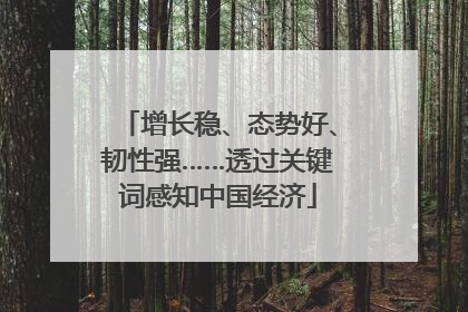 增长稳、态势好、韧性强……透过关键词感知中国经济
