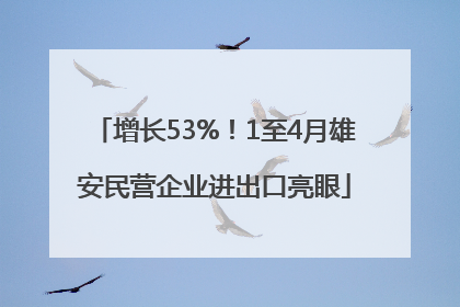 增长53%！1至4月雄安民营企业进出口亮眼