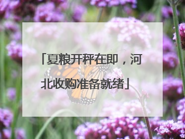 夏粮开秤在即，河北收购准备就绪