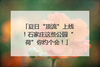 夏日“顶流”上线！石家庄这些公园“荷”你约个会！