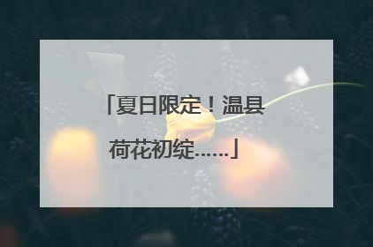 夏日限定！温县荷花初绽……