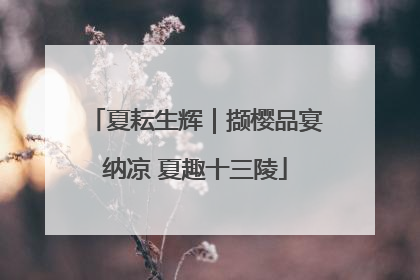 夏耘生辉｜撷樱品宴纳凉 夏趣十三陵