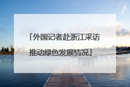 外国记者赴浙江采访推动绿色发展情况