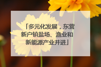 多元化发展，东营新户镇盐场、渔业和新能源产业并进
