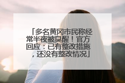 多名黄冈市民称经常半夜被臭醒！官方回应：已有整改措施，还没有整改情况