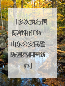 多次执行国际维和任务 山东公安民警陈强亮相国新办