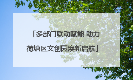 多部门联动赋能 助力荷塘区文创园焕新启航