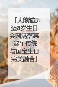 大熊猫迈迈8岁生日会圆满落幕 端午传统与国宝生日完美融合