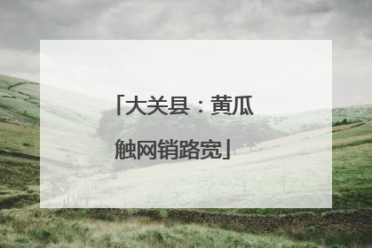 大关县：黄瓜触网销路宽
