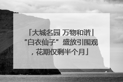 大城名园 万物和谐│“白衣仙子”盛放引围观，花期仅剩半个月