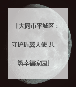 大同市平城区：守护折翼天使 共筑幸福家园