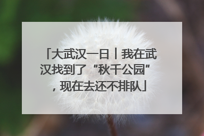 大武汉一日︱我在武汉找到了“秋千公园”，现在去还不排队