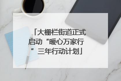 大栅栏街道正式启动“暖心万家行”三年行动计划