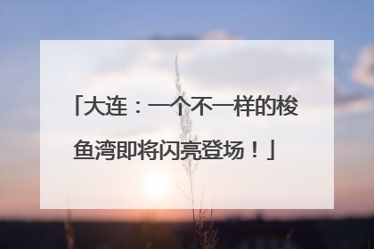 大连：一个不一样的梭鱼湾即将闪亮登场！