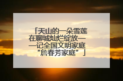 天山的一朵雪莲在聊城灿烂绽放——记全国文明家庭“詹春芳家庭”