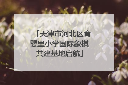 天津市河北区育婴里小学国际象棋共建基地启航