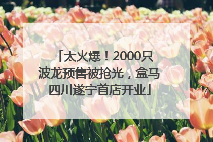 太火爆！2000只波龙预售被抢光，盒马四川遂宁首店开业