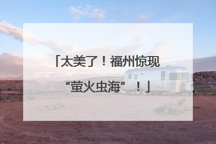 太美了！福州惊现“萤火虫海”！