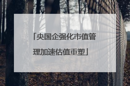 央国企强化市值管理加速估值重塑