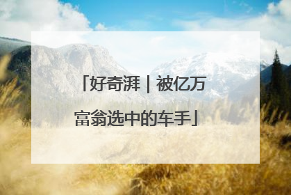 好奇湃｜被亿万富翁选中的车手