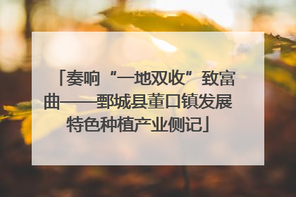 奏响“一地双收”致富曲——鄄城县董口镇发展特色种植产业侧记