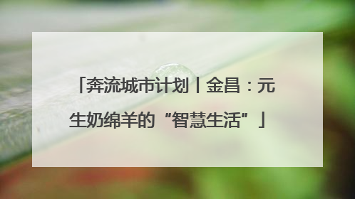 奔流城市计划丨金昌：元生奶绵羊的“智慧生活”