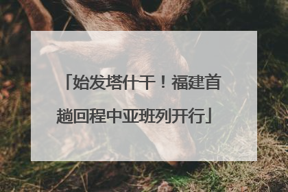 始发塔什干！福建首趟回程中亚班列开行