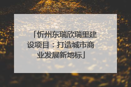 忻州东瑞欣瑞里建设项目：打造城市商业发展新地标