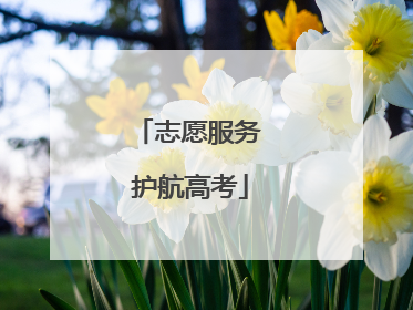 志愿服务 护航高考