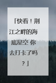 快看！荆江之畔的海底星空 你去打卡了吗？