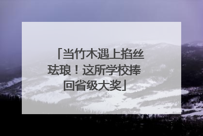 当竹木遇上掐丝珐琅！这所学校捧回省级大奖