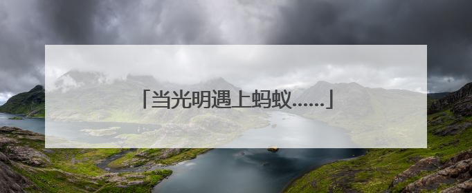 当光明遇上蚂蚁……