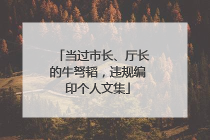 当过市长、厅长的牛弩韬，违规编印个人文集