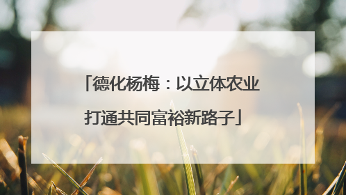 德化杨梅：以立体农业打通共同富裕新路子