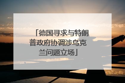 德国寻求与特朗普政府协调涉乌克兰问题立场