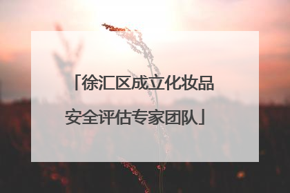 徐汇区成立化妆品安全评估专家团队