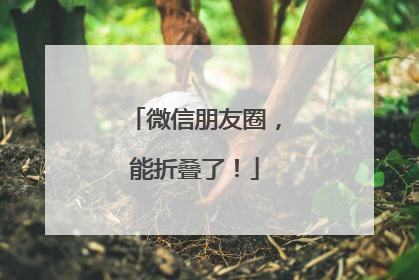 微信朋友圈，能折叠了！