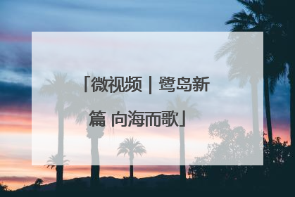 微视频｜鹭岛新篇 向海而歌