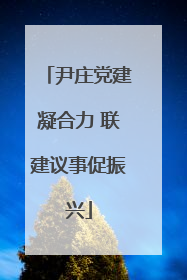 尹庄党建凝合力 联建议事促振兴