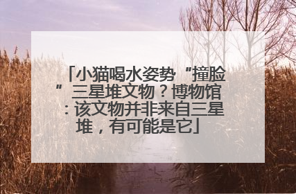 小猫喝水姿势“撞脸”三星堆文物？博物馆：该文物并非来自三星堆，有可能是它