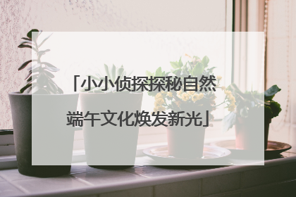 小小侦探探秘自然 端午文化焕发新光