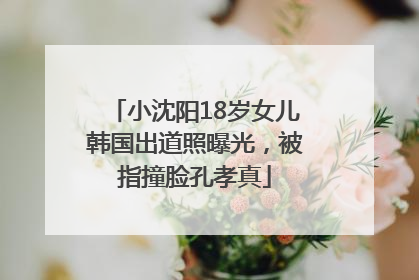 小沈阳18岁女儿韩国出道照曝光，被指撞脸孔孝真
